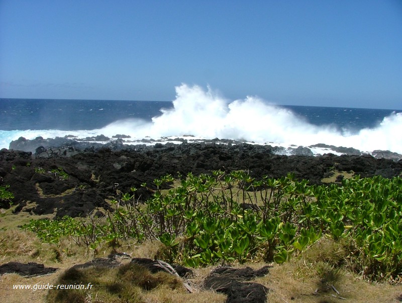 Guide Réunion SaintPhilippe Ile de la Reunion