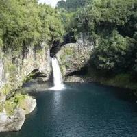 Balade créative à Bras Panon