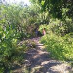 Sentier de la cascade eu du bassin Jacqueline Sentier de la cascade Jacqueline