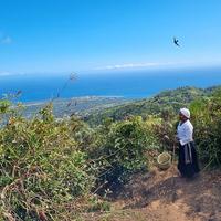 Balade-Spectacle à l'Etang-salé-les Hauts : Maronez - Sentier Piton La Croix