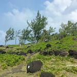 Sentier de Cap Jaune