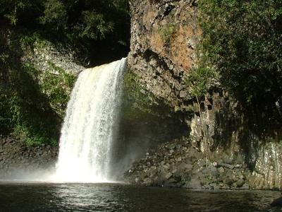 Le bassin La Paix Bassin La Paix - La Réunion