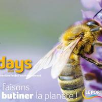 APIdays au Port - La Réunion (974)
