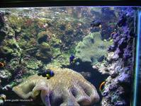 Un Bassin de l'aquarium Un Bassin de l'aquarium
