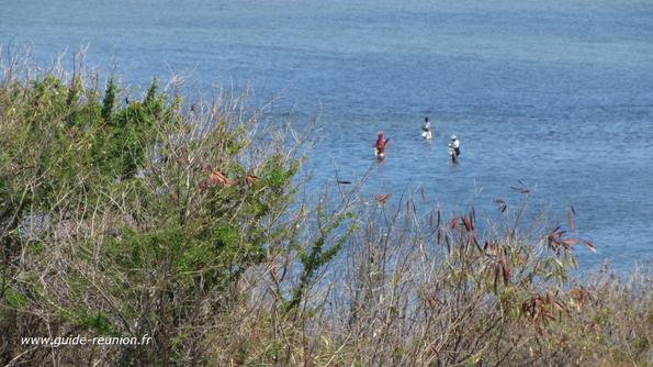 Pendant que certains pêchent ... Pecheurs à Trois -Bassins