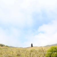 Balade spectacle au volcan