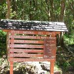 Forêt de Mare Longue - Saint-Philippe