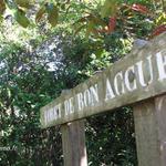 Forêt de Bon Accueil