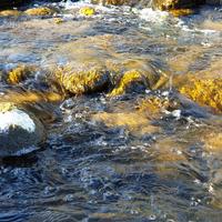 Actualité sur la ressource en eau à La Réunion Actualité sur la ressource en eau à La Réunion
