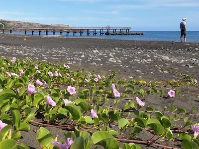 Plage et baie de Saint-Paul Plage de Saint-Paul - La Réunion (974)