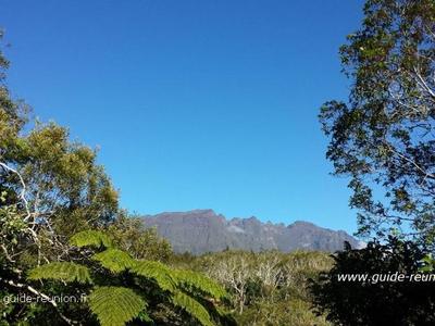 Plaine des Palmistes - La Réunion