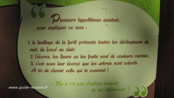 La réponse à la question Pourquoi Bois de Couleur La réponse à la question Pourquoi Bois de Couleur