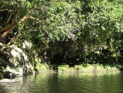 Bassin Boeuf Bassin Boeuf