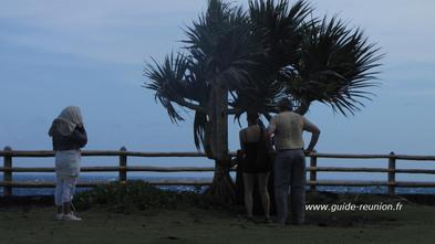On allait l'oublier, la dame du Cap Méchant (ici à gauche) pourrait bien vous approcher.. on vous laisse découvrir ! Dame du Cap Méchant