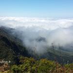 Sentier du Gol - Forêt du Tévelave