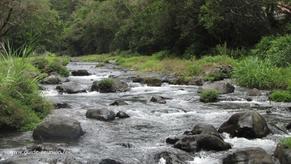 Pour se rendre à la cascade Langevin, il faudra longer la rivière Rivière Langevin