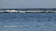 Le rouleau presque parfait, on ne se lasse pas des vagues qui déferlent au loin Le rouleau presque parfait