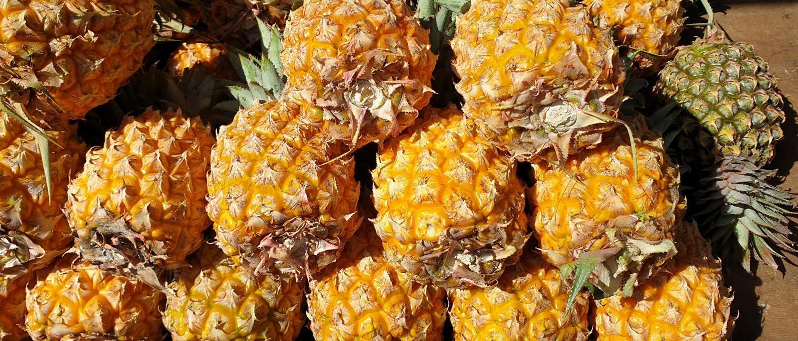 Dictionnaire de la cuisine réunionnaise (image d'illustration) Dictionnaire de la cuisine réunionnaise (image d'illustration)