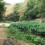 Sentier de bassin Long