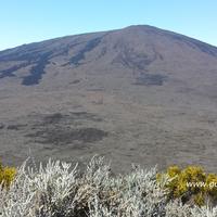 L'enclos à nouveau autorisé