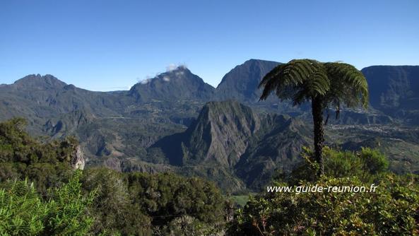 Vue d'ensemble sur le cirque de Salazie depuis le gîte de la forêt de Bélouve Vue d'ensemble sur le cirque de Salazie et fougère arborescente