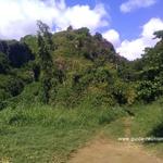 Début du sentier qui mène au bassin Pigeon Sentier du bassin Pigeons