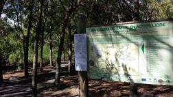 Le parcours sportif de la forêt - Etang-Salé (Panneau) Panneau informatif sur le parcours sportif de la forêt - Etang-Salé