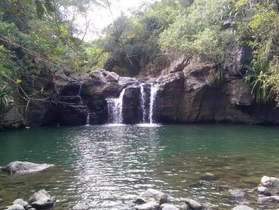 Le bassin le Roche Le bassin le Roche est méconnu, situé dans le quartier de Roches Maigres à aint-Louis, ce bassin est magnifique.