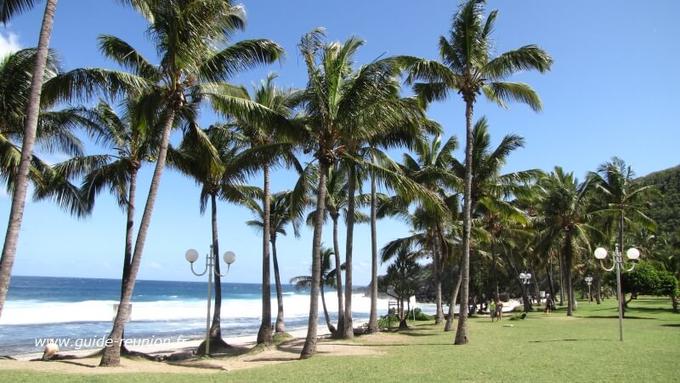 Plage de Grande Anse et ses cocotiers