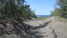 Une autre image Sentier littoral sud Réunion