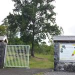 Forêt de Sainte-Marguerite