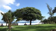 Que faire à Grande Anse ? Profiter du paysage, pique-niquer, se promener et se baigner dans le bassin aménagé A faire à Grande Anse