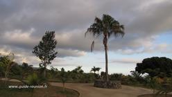 Prise de vue du parc des palmiers