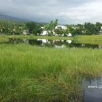 Etang-Salé, le plan d'eau