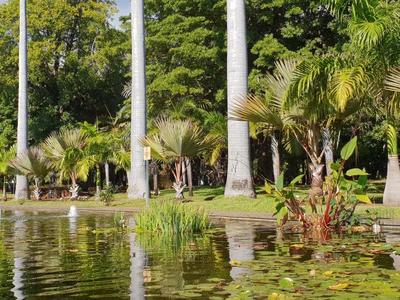 Jardin de l'Etat à Saint-Denis de La Réunion
