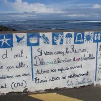 Journée mondiale de la Terre - Environnement à La Réunion