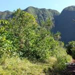 Sentier de la cascade Biberon