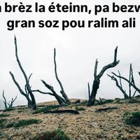 Balade spectacle au Piton Oranger