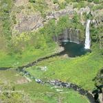 Sentier Bois Court - Grand Bassin