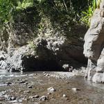 Bras de la Plaine - Fond de la rivière