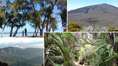 Photos nature de La Réunion