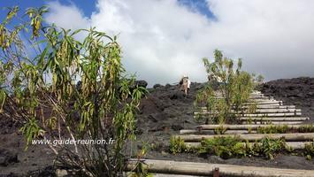 Point de vue sur les anciennes coulées de lave Point de vue sur les anciennes coulées de lave à La Réunion