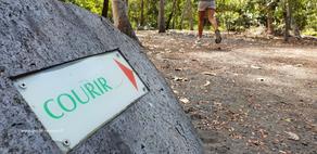 Parcours de santé dans la forêt de l'Etang Salé