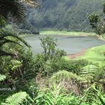 Grand Etang - Ile de la Réunion