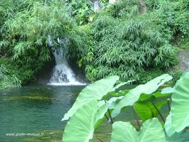 Bassin des Aigrettes - Ouest de la Réunion Le bassin des hauts de l'Ouest en photo