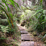 Sentier du Trou de fer