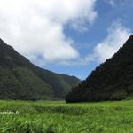 Sentier du tour de Grand Etang
