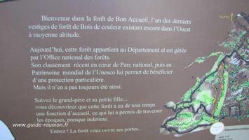 Sentier d'interprétation de la forêt d'accueil : le résumé Sentier d'interprétation de la forêt d'accueil : le résumé