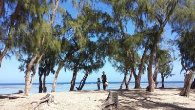 Plage de l'Ermitage à Saint-Gilles-les-Bains Plage de l'Ermitage à Saint-Gilles-les-Bains