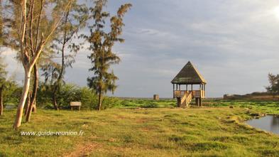 Etang du Gol : ambiance paisible mais le vert un peu plus foncé, derrière le kiosque, illustre la prolifération des salades (Novembre 2011) Etang du Gol : prolifération des salades